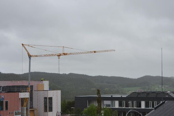 8. juni: Regn og rolig natt