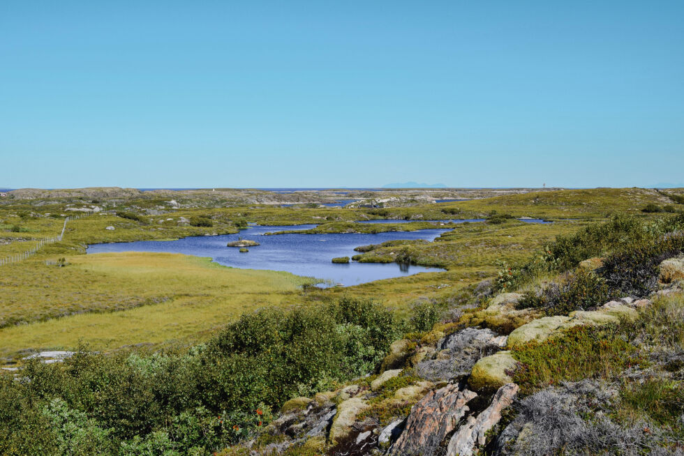 Fra Fugltjønna på Borgan.
 Foto: Synnøve Hanssen