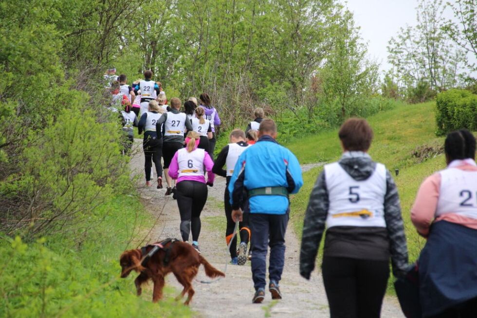 Løypa gikk opp Svahyllveien.