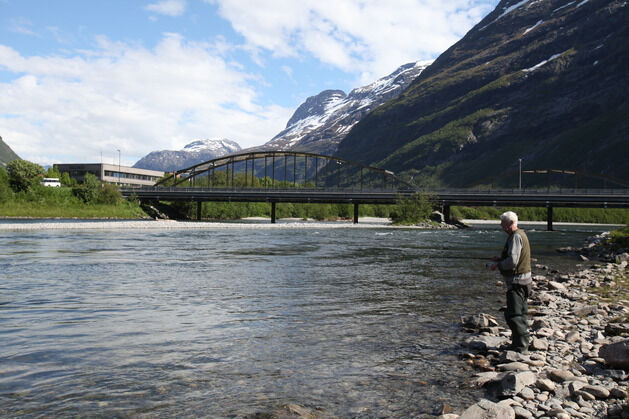Driva er en av elvene med gyroinfisert yngel, som har vært undersøkt av forskerne.
 Foto: Kjell Merok / Nofima