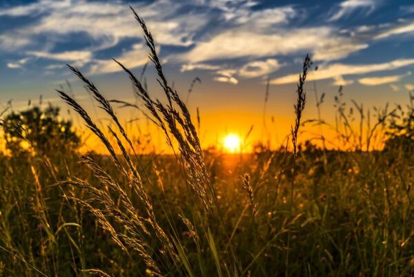 4. juni: Sol og avisdag