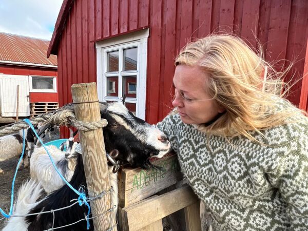 Geiter fikk to måneders sommerjobb