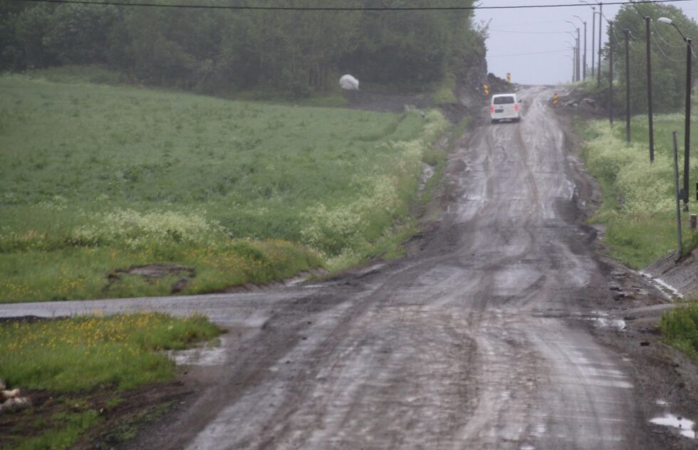 14. juni var veien mellom Bogen og Leka en stor utfordringe å forsere. Da hadde det også bøttet ned med regn i dagevis. Men veistrekninga har bedret seg etter den tid.
 Foto: Hild Dagslott