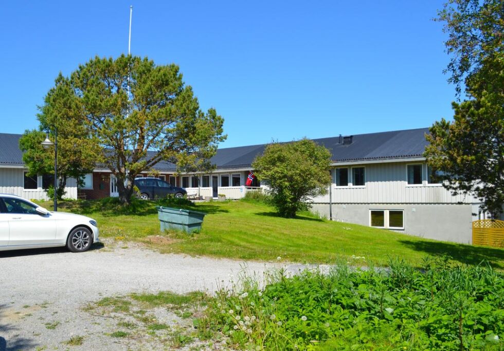 Først og fremst har de mye større areal å boltre seg på nå, men det er også et veldig fint uteareal å bruke dit de flyttet.