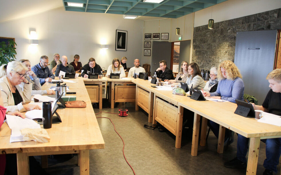 Bindal kommunestyre var enstemmig i saken om utredning av alternativer til elektronisk journalsystem.
 Foto: Hild Dagslott