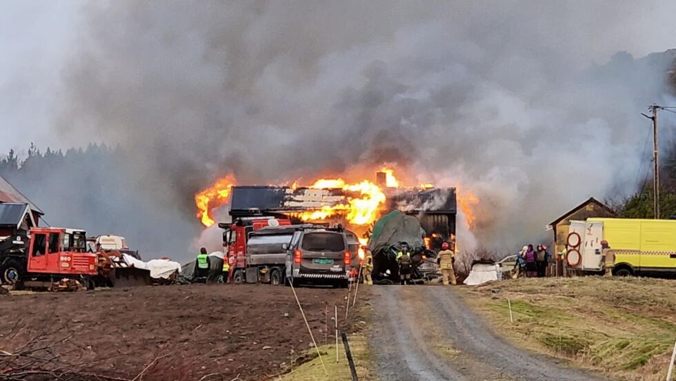 Det er full fyr i boligen på Gjerdingmoen.
 Foto: Privat