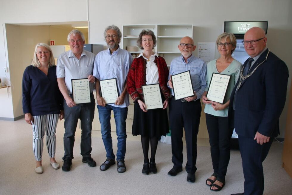 Ivar Fritjof Saugestad, Kjell Stokland, Siri Schiager, Kjell Jørgen Sellæg og Gro Hilde Melgård fikk alle tildelt KS-merket for lang innsats i kommunal sektor. Her er de flankert av oppvekst- og kultursjef Kirsti Fjær og ordfører Steinar Aspli.