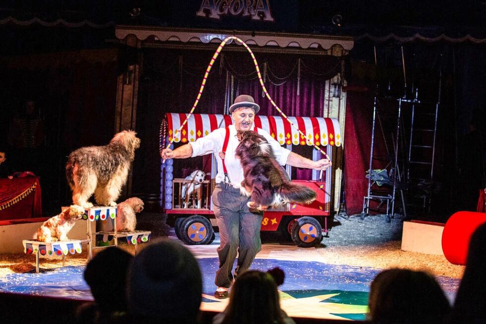 Ed Lafortes gir publikum festlige hundenummer.
 Foto: Cirkus Agora