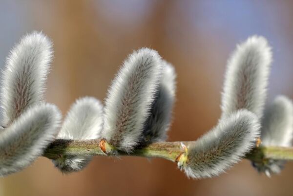 7.april: Flere periodevis stengte veier