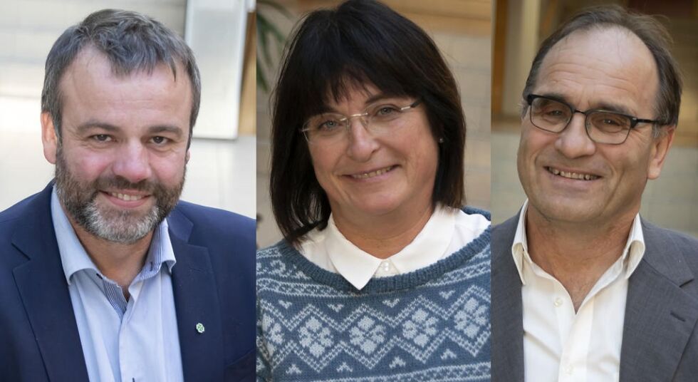 Espen Lauritzen (Sp), Marit Dille (H) og Bjørn Ola Holm (V) skal i kveld forsøke å enes om et felles budsjettforslag for 2021.