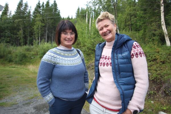 - Vi må ha flere damer i lokalpolitikken