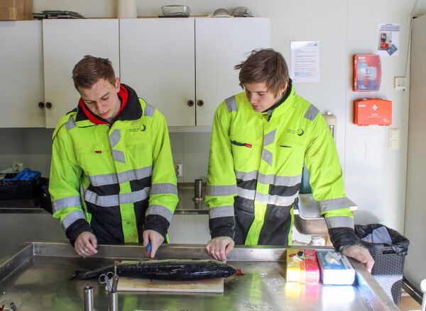 Klare for NM i akvakultur