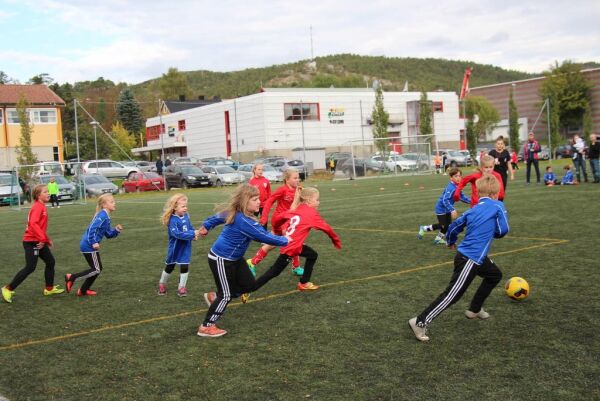 Idrettsrådet vil ha med flere i beslutningene som tas
