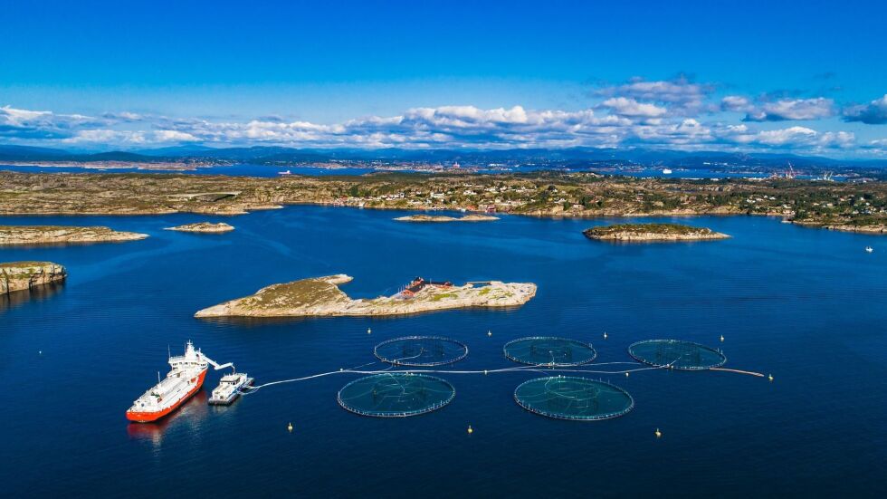 Foto: Nettverk fjord- og kystkommuner