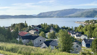 Nedgang i folketallet i Nærøysund, Leka og Bindal