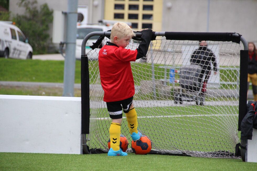 Foto: Lillian Lyngstad