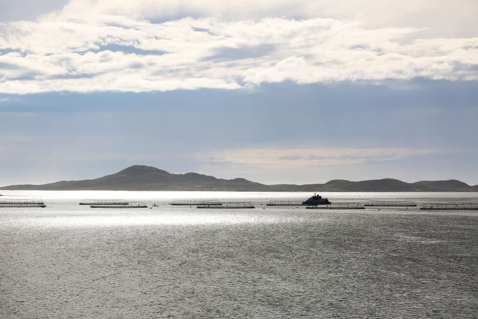 Bjørøya AS ønsket å utvide sin lokalitet ved Djuptaren, og fikk avslag.
 Foto: Illustrasjonsfoto