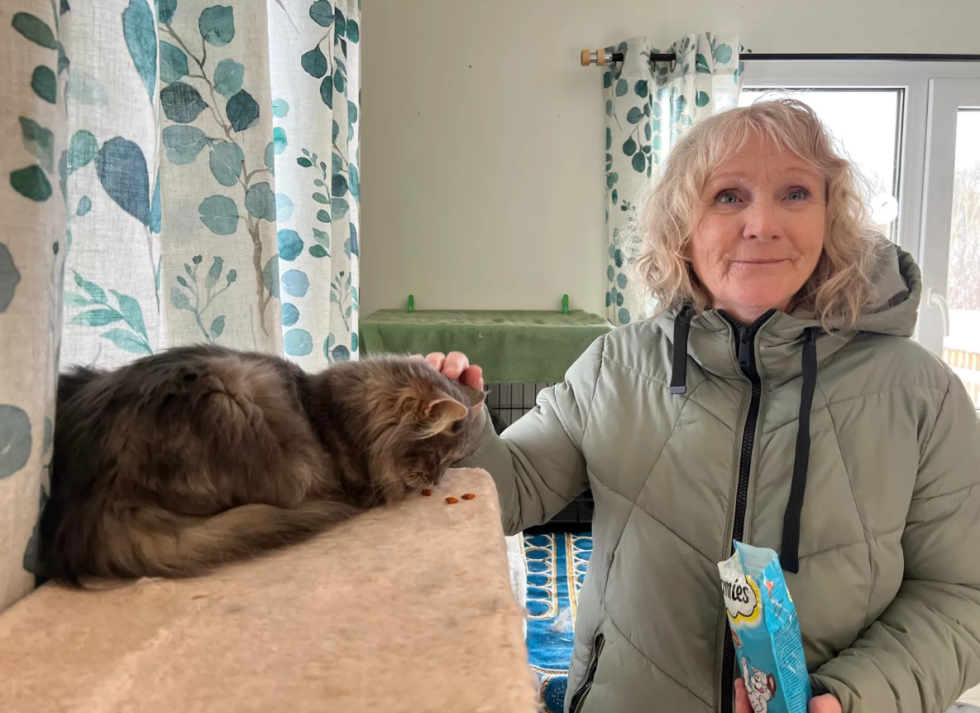 Mette Wagnild i Bryggekattenes Venner ber både bilister og katteeiere om å ta mer ansvar for dyrene.