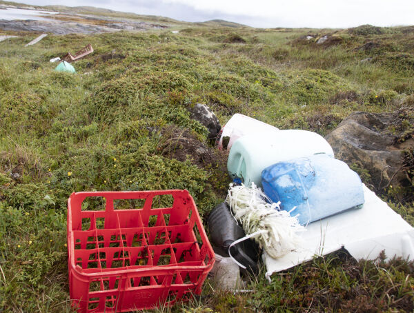 Bli med på vårrengjøring i naturen