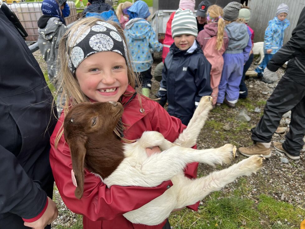 Bella syntes det var artig å få børe på lammene.