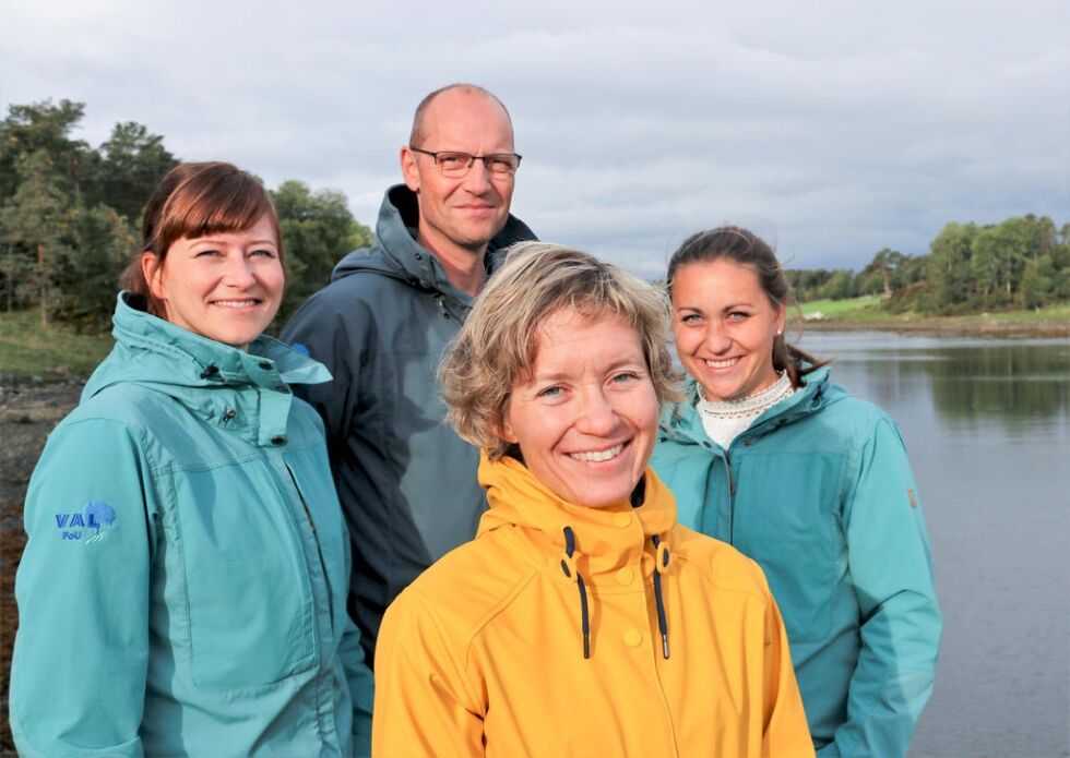 Veterinær Marit Gundersen Skjærvik (foran) styrker kunnskapsbasen og utviklingskapasiteten i Val FoU AS, som fra før av består av daglig leder Kristine Fagerland (fra venstre), Halvor Mortensen og Hege Sekkenes.
 Foto: Val FoU