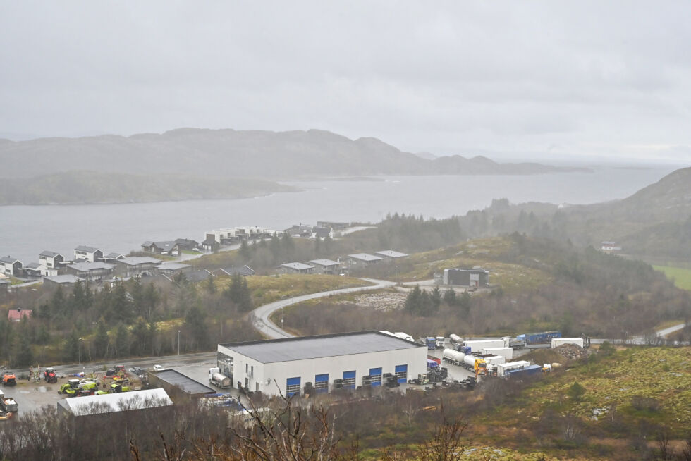 Sjøhaugen, også kalt Batterihøgda.
 Foto: Synnøve Hanssen