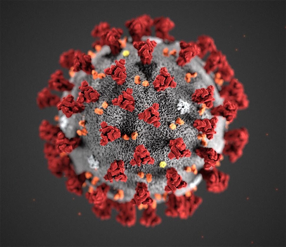 Koronaviruset/SARS-CoV-2 er et influensavirus som smitter svært raskt. De fleste som blir smittet merker ikke at de har fått det. Eldre og folk som allerede har sykdommer er i risikosonen. Den påvirker unge folk i svært liten grad.
 Foto: Alissa Eckert/CDC