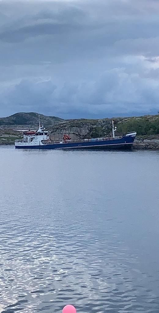 Endte på grunna i Svinestien