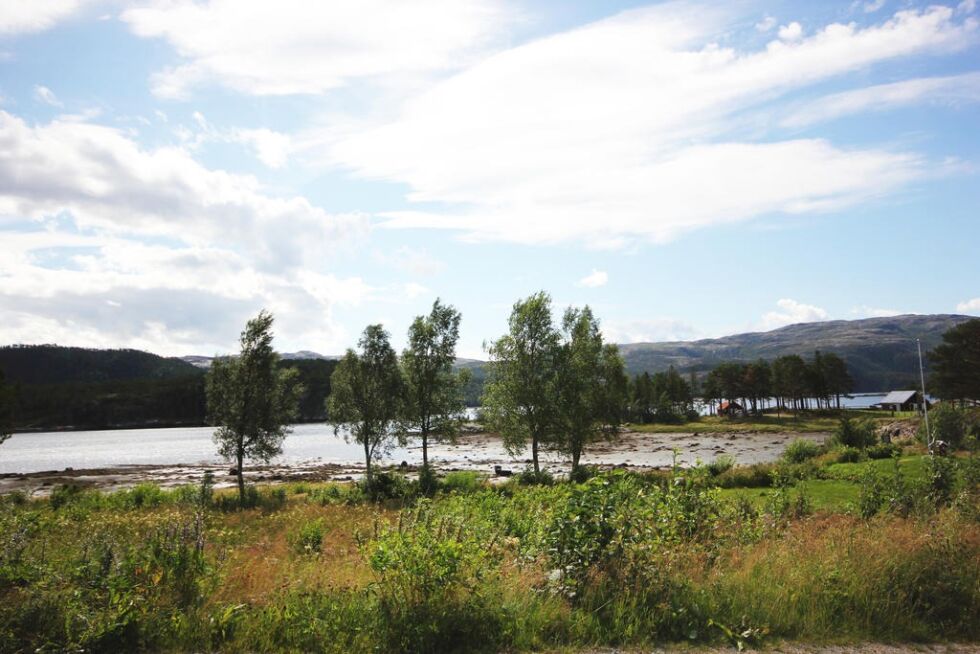 Familien er godt fornøyd med utsikten fra hjemmet deres på Salsbruket.