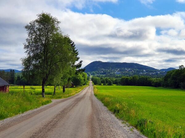 23. juni: Rolig natt i ytterdistriktet