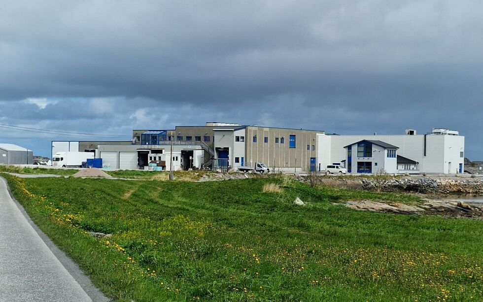 Fabrikken skal nå gjenåpne etter to år stillstans.
 Foto: Frank Jenssen