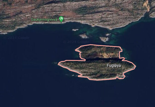 Et lite steinkast fra Daukjerringrevvå ligger Fugløya. Her har det blitt endringer i eierskap.
 Foto: Skjermdump Google maps