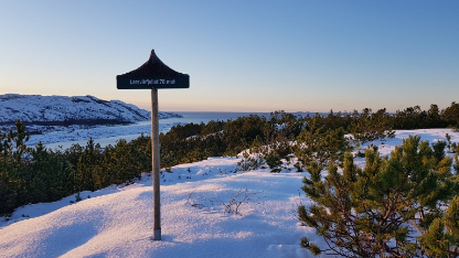 Her på Larsvikfjellet ønsker grendelaget at dagsturhytta skal stå.
 Foto: skjermdump fra søknaden