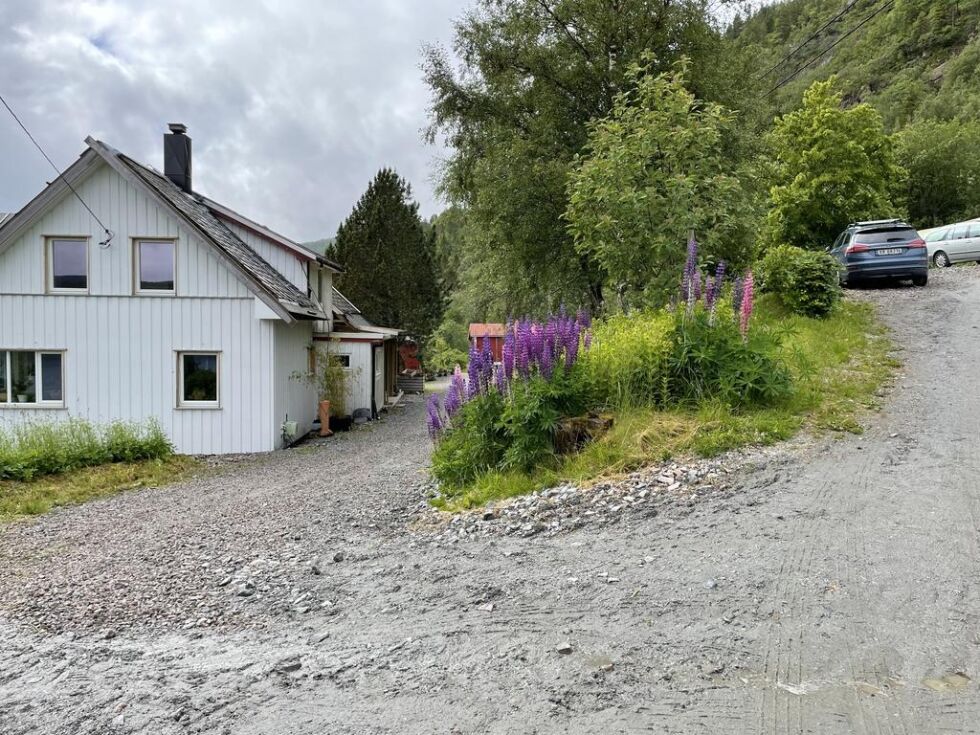 Nubdalseng gård ligger i en skråning ned mot Nordsalten.