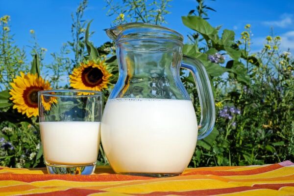 Mer melk fra ytterdistriktet