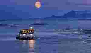 NTS doblet nesten driftinntektene i 1. kvartal