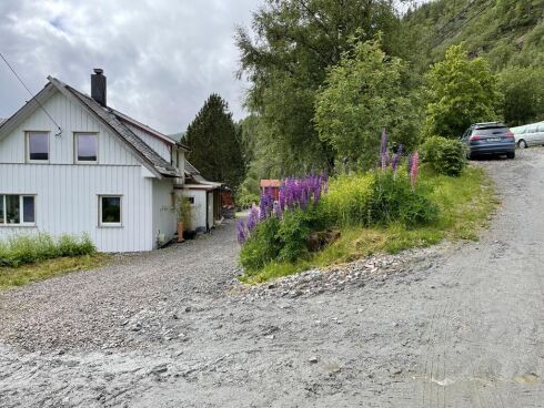 - Ingen skam å snu, herr Settenøy