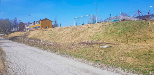 Krever innsats fra kommunen