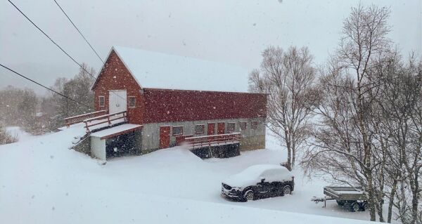 8. april: Rådyr påkjørt på Terråk, og Kong Vinter har glemt igjen teppet sitt