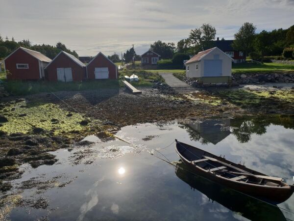 20. juli: Ny dag og nye muligheter