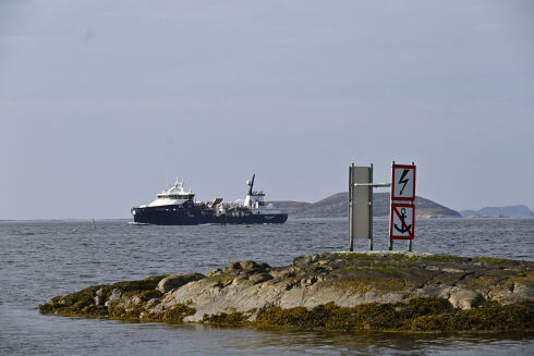 Fartsbot, veiarbeid og grisevær