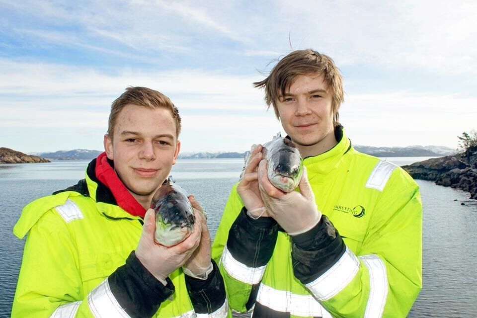 Fredrik Eiternes og Petter Sommer hentet hjem en sølvmedalje under fjorårets NM.