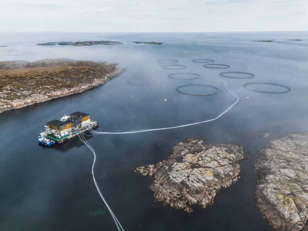 Lakseoppdrett i Midt-Norge, Salmar.
 Foto: Salmar