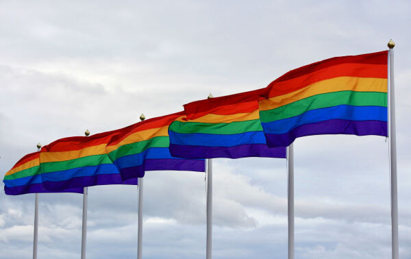 Vil ha prideflagget til topps hver 1. juni
