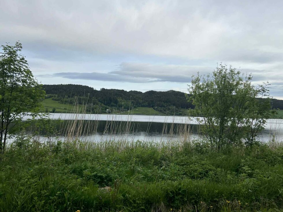 Horvereidvatnet i Nærøysund.
 Foto: Lillian Lyngstad