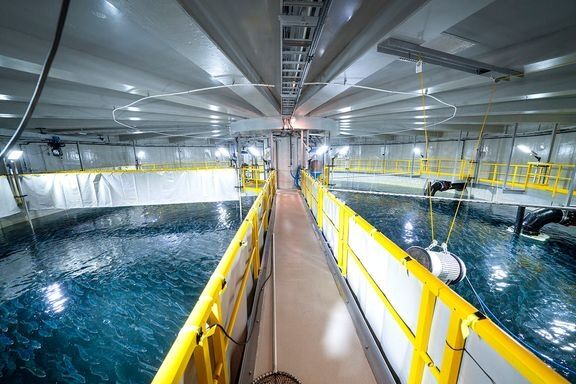 Landbaserte anlegg for fiskeoppdrett har utslipp som kan påvirke vannmiljøet. Forurensningsmyndighetene avdekket på tilsyn at spesielt utslippskontrollen er for dårlig.
 Foto: Gorm Kallestad/NTB.
