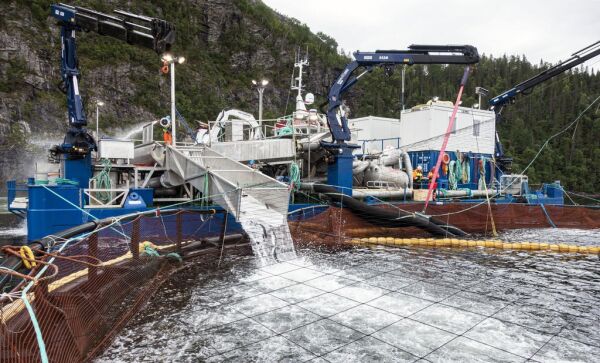 Kontrakt sikrer kvalitet og jobber
