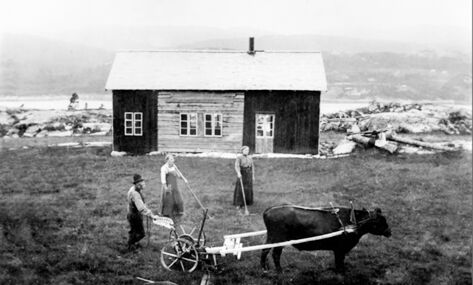 Petter Persvik sammen med døtrene Gudrun og Emma. Bildet er fra småbruket Persvika eller Selvik på Kreklingan i Nærøy kommune.
Fotograferingen er fra 1915.
 Foto: Inngår i samlingen til Kystmuseet i Nord-Trøndelag, Norveg.