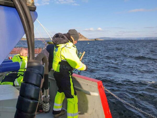 Fra Tyskland til Val for å lære