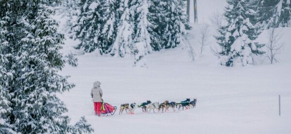 Forbereder seg til Finnmarksløpet